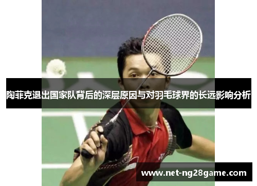 陶菲克退出国家队背后的深层原因与对羽毛球界的长远影响分析